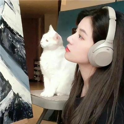 棕榈泉不思议